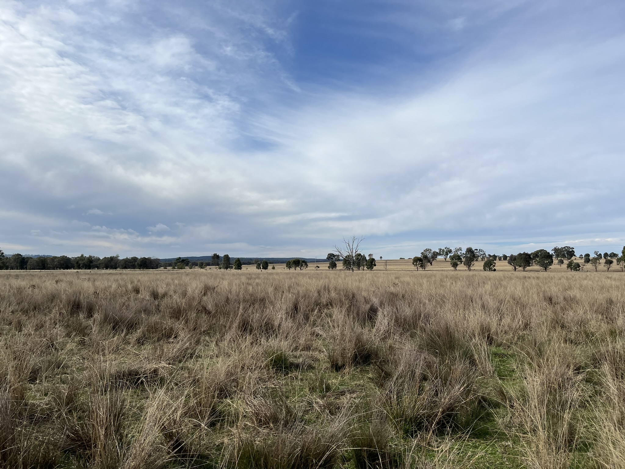 Birriwa Solar Farm approved subject to conditions