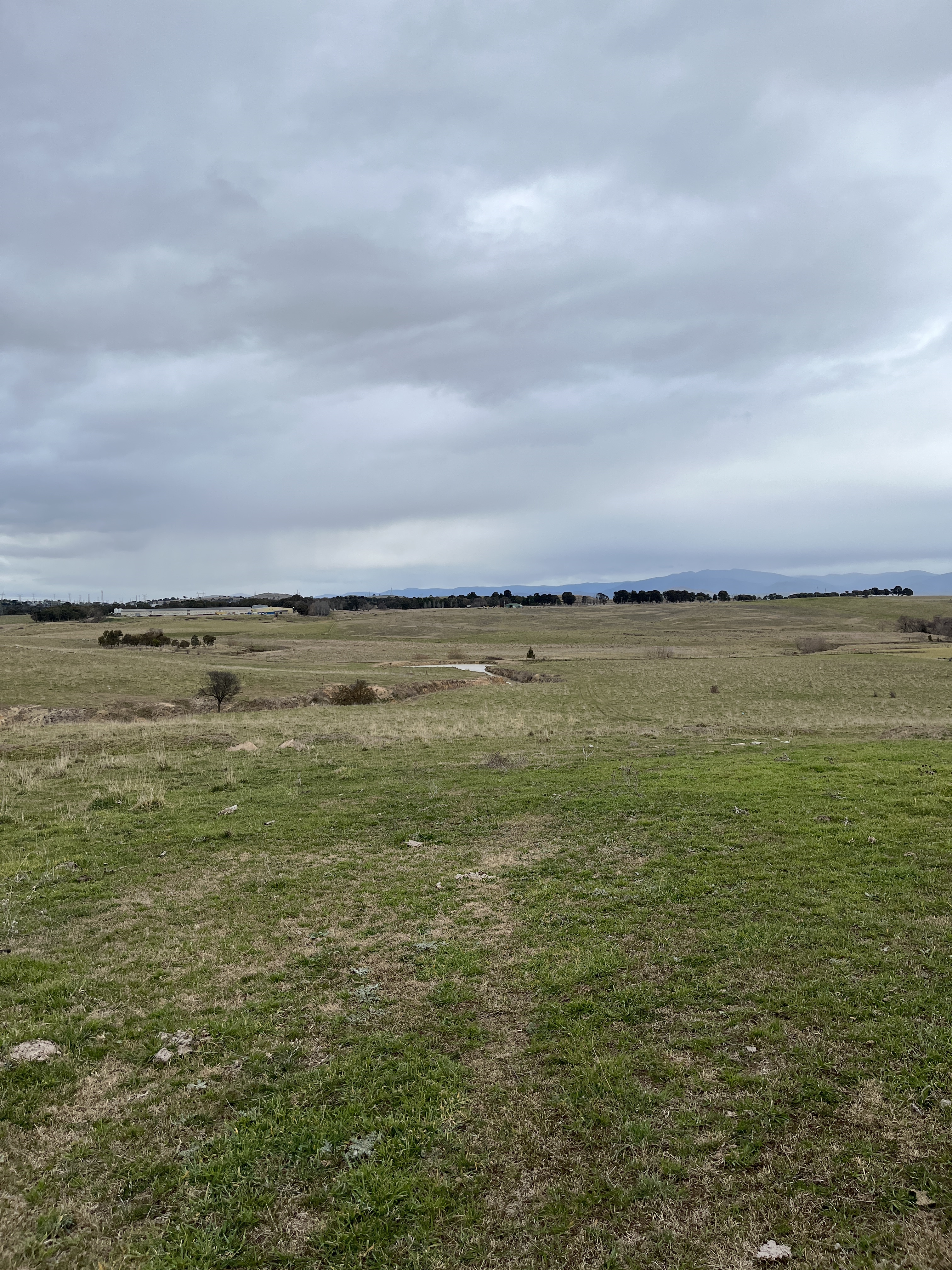 Wallaroo Solar Farm approved subject to conditions