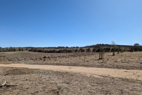 oxley solar farm