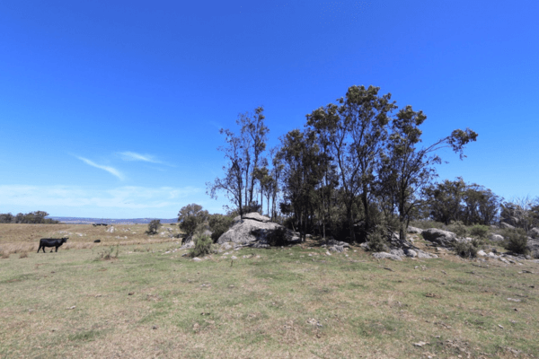 thunderbolt wind farm